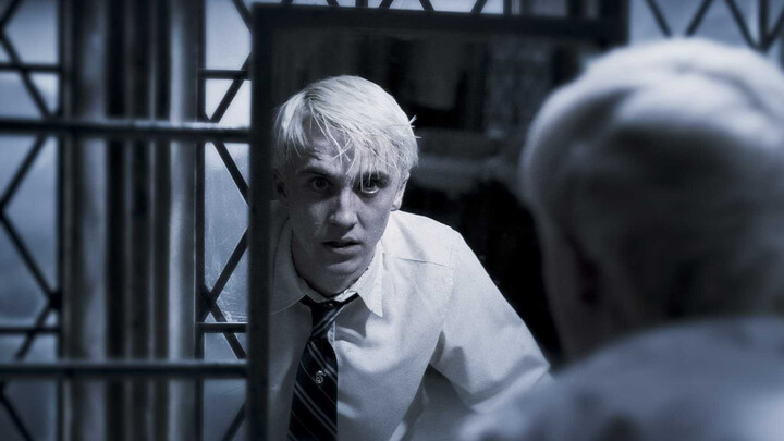 【Malfoy】Severe Abuse｜You are the savior of light, I am the dark Death Eater