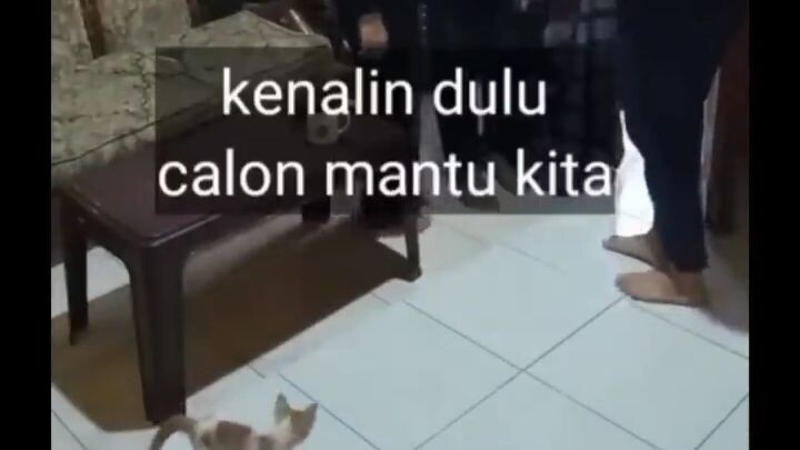 tutorial nih🤣