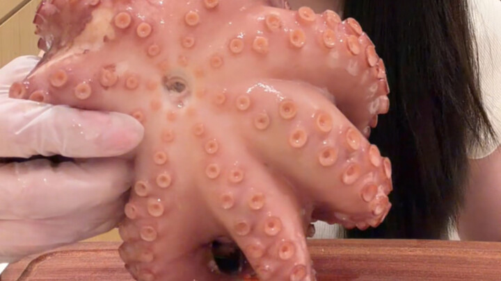 Let’s dig into a whole giant octopus!