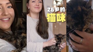 吉尼斯纪录认证的最年长的猫咪!26岁耶!