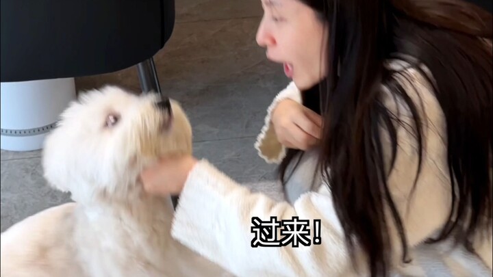 Who would have thought even my dog couldn’t resist her sweet talk!