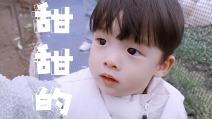 【Little Zongzi】Baby, you’re a sweet glutinous rice zongzi!