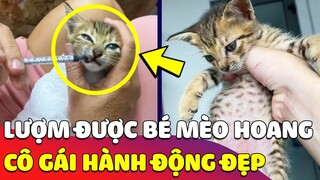 Lượm được bé Mèo hoang có 'QUẢ BỤNG ĐẶC BIỆT', cô gái có 'QUYẾT ĐỊNH' làm ai cũng cảm động 🥰 Gâu Đần