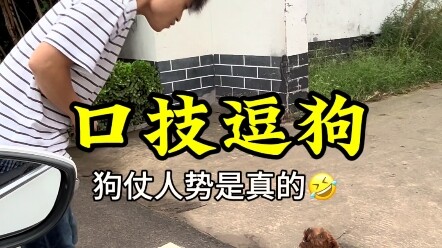 Các bạn ơi, đây có lẽ chính là kiểu “con chó cậy chủ” đấy!