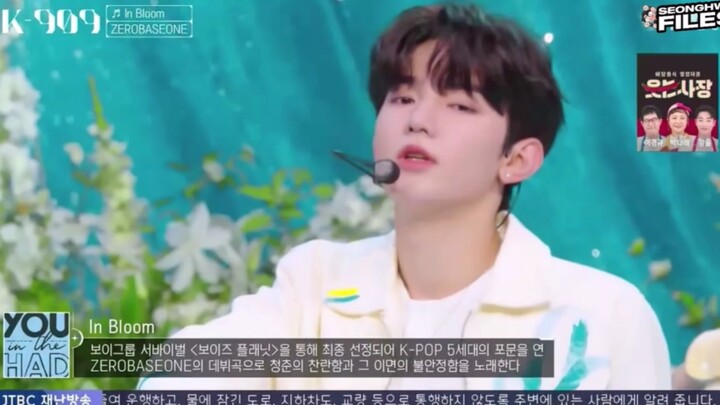 «ZB1» مرحلة K909 In Bloom، تشانغ هاو، صاحب القلب الحساس الذي أبكاه المعجبون!