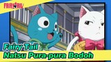 [Fairy Tail] Natsu Pura-pura Bodoh
