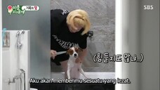 My Little Old Boy Sub Indo Ep 169