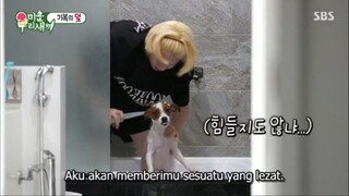 My Little Old Boy Sub Indo Ep 169