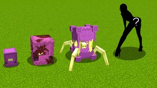 what evolution Shulker happen next?