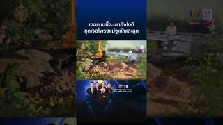ตะลึง!ขุดดินเจอโพรงงูเห่าเจอลูกยั้วเยี้ย ชาวเน็ตลั่นระวังอาถรรพ์ | ทุบโต๊ะข่าว
