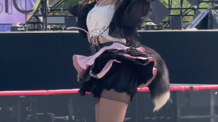 تيان هوان القطة الممتلئة قليلاً