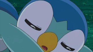 Pogamon sleeping