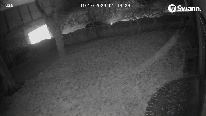 Suspect 2 - 20260117-011023-012519