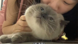Chỉ cần tôi không chạm vào anh ấy, anh ấy sẽ tìm mọi cách để thu hút sự chú ý của tôi!
