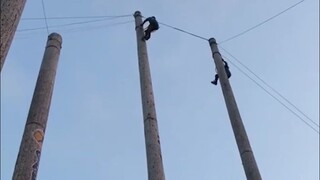 天呐!孩子你快下来