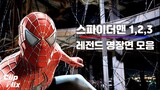 Spider-Man Peter Fights Flash at School (TOBEY MAGUIRE SCENE)  With Captions