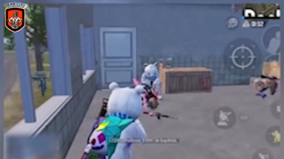 Những chú gấu trắng tấu hài