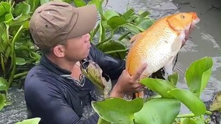 要不然你们开个捕鱼直播吧，你们就负责”哇哦“，保准大家都喜欢看！