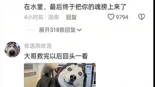 大哥也许在思考哎呀，我这样算刷功德吗？😂😂
