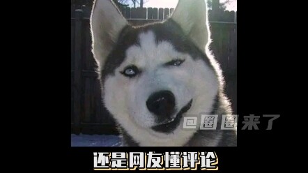 Haha, mày chính là 170 phải không!