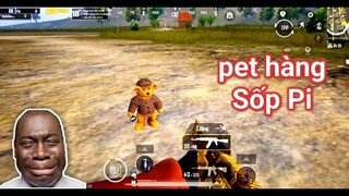 PUBG Mobile - Chốt 5k Nhận Ngay 3 Con Pet Siêu Cute Và Siêu Phẩm MK14 Scope 8x!