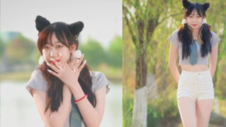 【Meimei】Giống như một chú mèo - sàn diễn thời trang AOA | Cô gái biến thành một con mèo