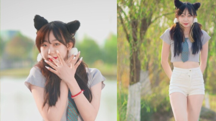 【Meimei】Seperti Seekor Kucing - Catwalk AOA | Gadis berubah menjadi kucing