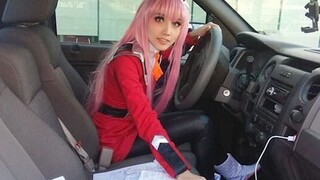 International Funny Video Compilation & Animal Confusing Behavior Awards #133