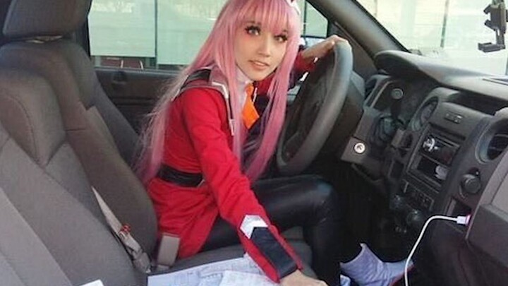 International Funny Video Compilation & Animal Confusing Behavior Awards #133