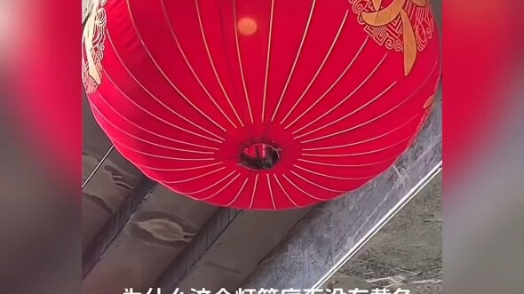 Sao con sư tử này lại để tóc dài vậy?