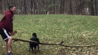 سلوكيات البشر المحيّرة 024