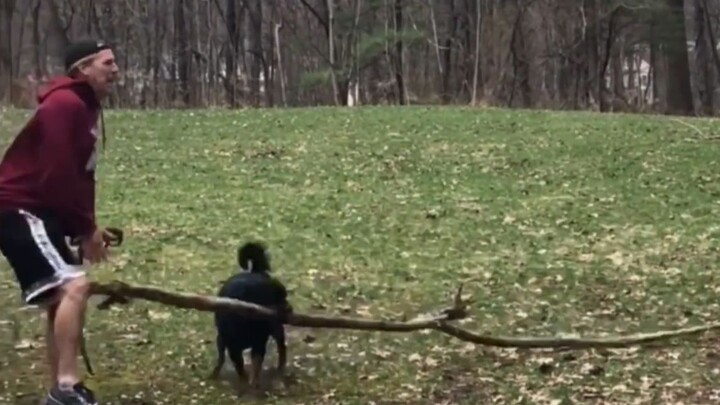 人类迷惑行为 024