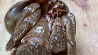 Thử thách 365 ngày ăn đồ nướng ngày thứ 18