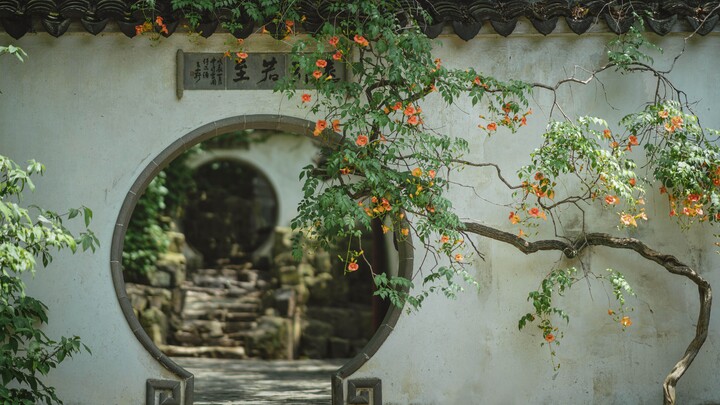 Puisi Mengalir Seperti Air, Mimpi Berakhir di Tengah Kelopak Bunga | Koleksi Bayangan Bunga di Taman