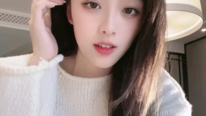Beauty Collection 1.3