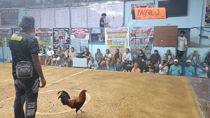 JVA Roundhead 2x winner 2hits  champion