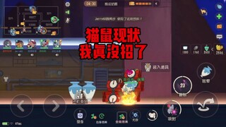 猫鼠现状，我真没招了