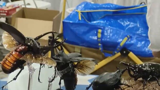 جولة افتراضية في معرض نماذج شنغهاي المصغرة GMHS2025