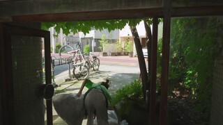 Bông hoa cho em EP 2 [Sub Việt]