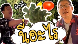 นี่อะไร : อ๊อดปากดี!!! เด๋อชูอ๊อด