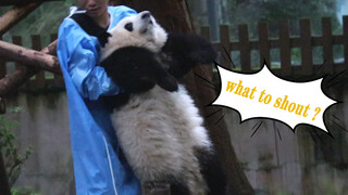 It's Time To Go Home! Where Is Hehua?