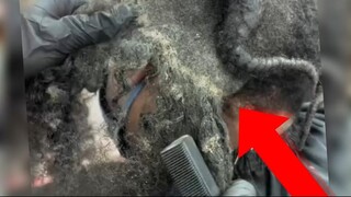 Inilah Akibat Rambut 10 Bulan Tak Disisir Dan Di Cuci Sama Sekali