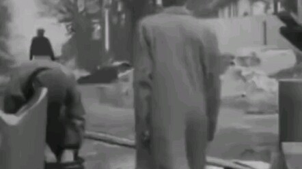 Mengira kamu cuma anjing pengipas, ternyata kamu memang anjing sungguhan!