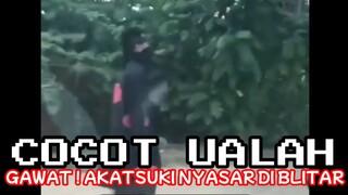 GAWAT ❗❗❗ AKATSUKI NYASAR DI BLITAR | CHOCHOT UALAH 39