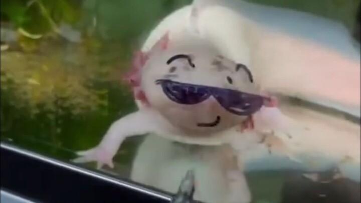 «أشاركك المعلومة الممتعة أولًا بأول»