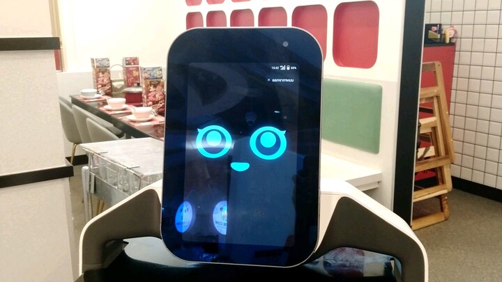 The Conservation of Mybot Robot! 🤖 Part 6