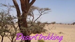 Desert Trekking