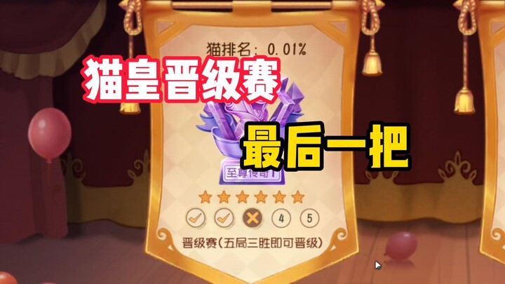 เกมมือถือแมวกับหนู: รอบคัดเลือกจักรพรรดิแมวลุ้นสุดใจ!