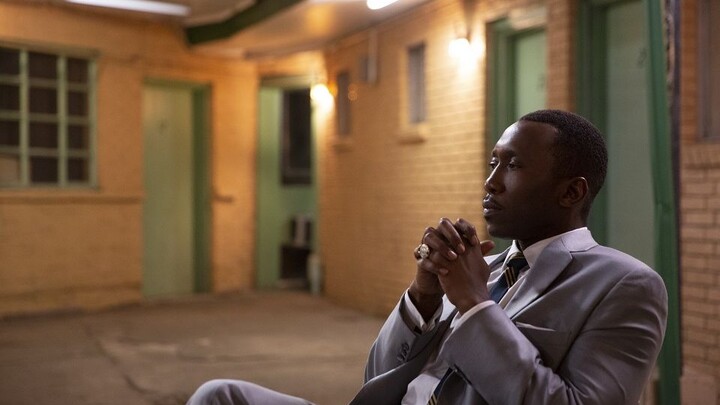 “Green Book” is based on a true story! A friendship that transcends race has touched countless viewe