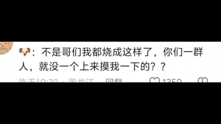 误入三亚高铁站的狗，这就是高情商的好处，穷凶极恶的狗就是另一种结果了。